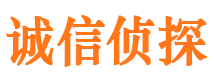 房山市私家侦探